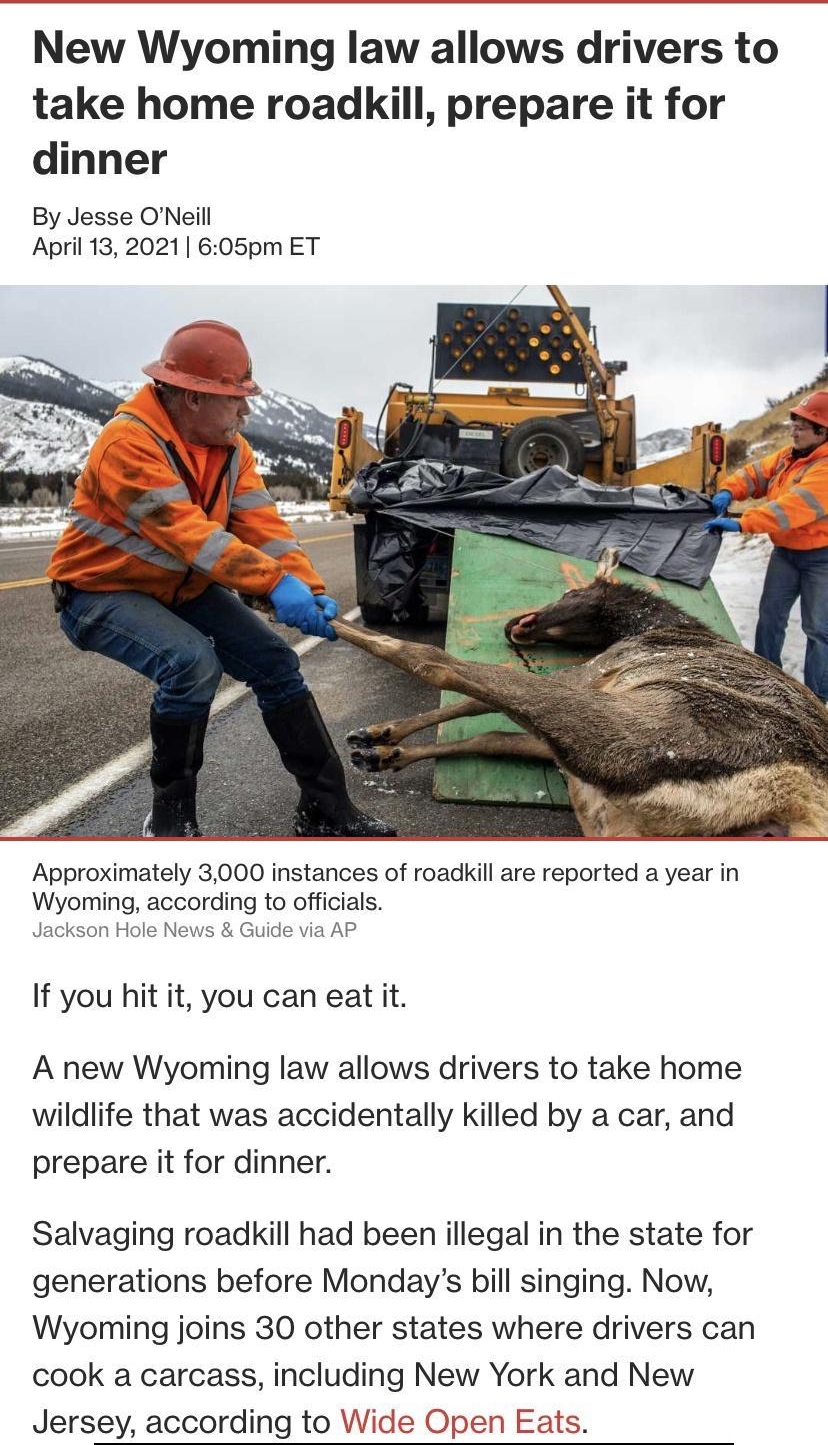 New Wyoming law allows drivers to take home roadkill prepare it for dinner By Jesse ONeill April 132021 605pm ET AR T o Approximately 3000 instances of roadkill are reported a year in Wyoming according to officials Jackson Hole News Guide via AP If you hit it you can eat it A new Wyoming law allows drivers to take home wildlife that was accidentally killed by a car and prepare it for dinner Salvag