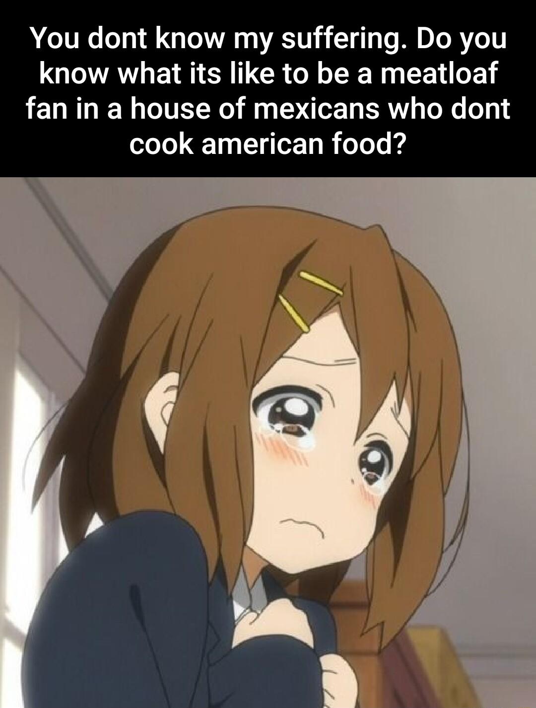 You dont know my suffering Do you know what its like to be a meatloaf fan in a house of mexicans who dont cook american food