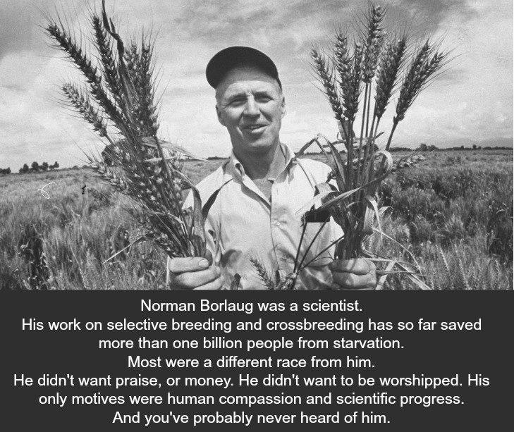 Norman Borlaug was a scientist His work on selective breeding and crossbreeding has so far saved more than one billion people from starvation Most were a different race from him He didnt want praise or money He didnt want to be worshipped His only motives were human compassion and scientific progress And youve probably never heard of him