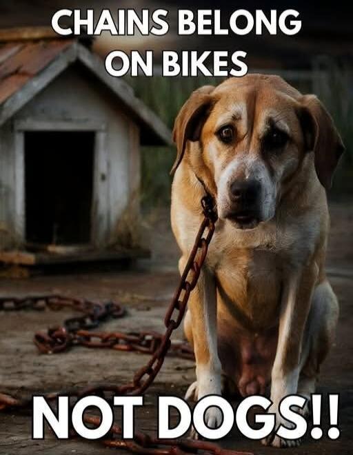 CHAINS BELONG ON BIKES NOT DOGS!!