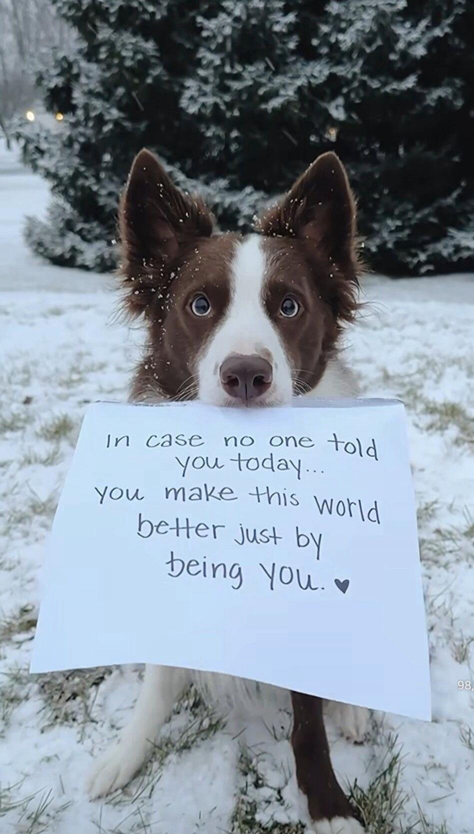 In case no one told you today... you make this world better just by being you. ♥