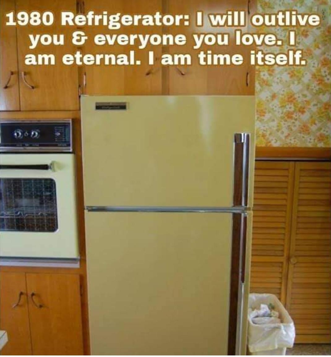 L P BT TET LT Break within 2 years o5 5 1980 Refrigerator Liwill outllve you everyone you Iove 1 am eternal am time tslf SED 0 e e Lot 23