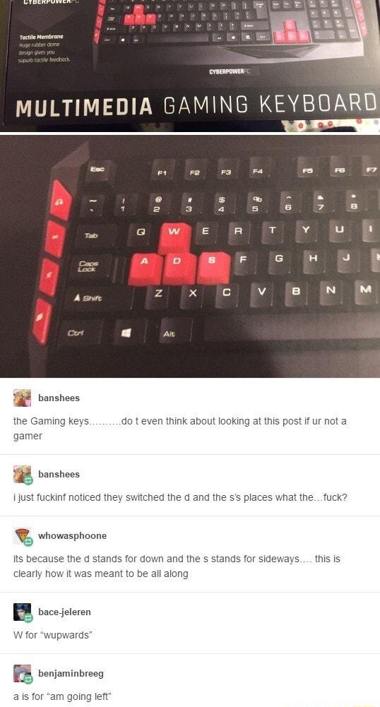 i o ke k3 Fa e e D e I F B B 1 e bkl B BTN 5 c e R EF x BB e 7 13BN A z Ix ol v B panshees the Gaming keys do t even think about looking at this post if ur not a mer g banshees i just fuckinf noticed they switched the d and the whowasphoone its because the d stands for down and the s stands meant to be all along als for am going left