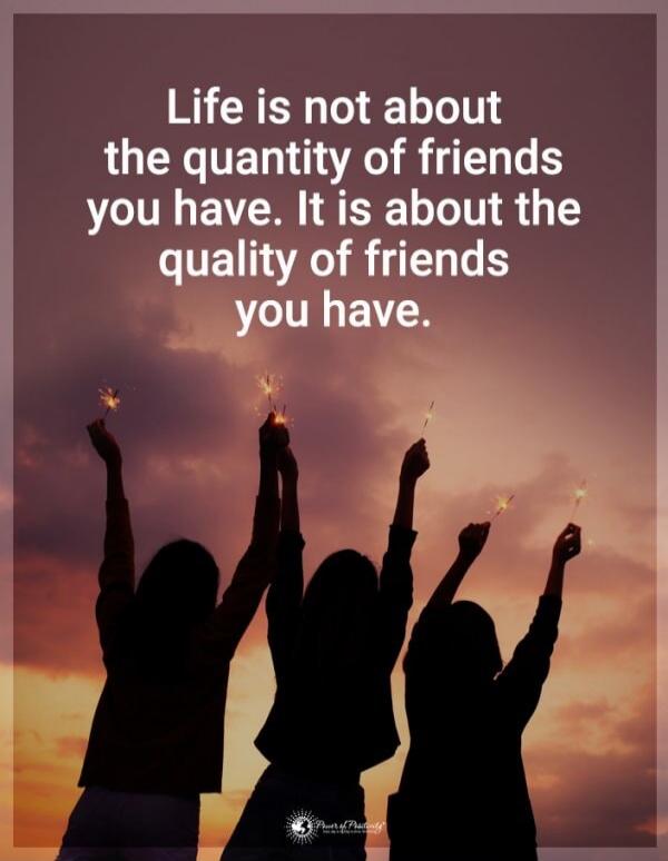 Life is not about the quantity of friends you have. It is about the quality of friends you have.