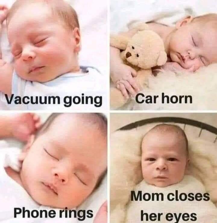 Vacuum gomg Car horn lom closes Phone rings her eves