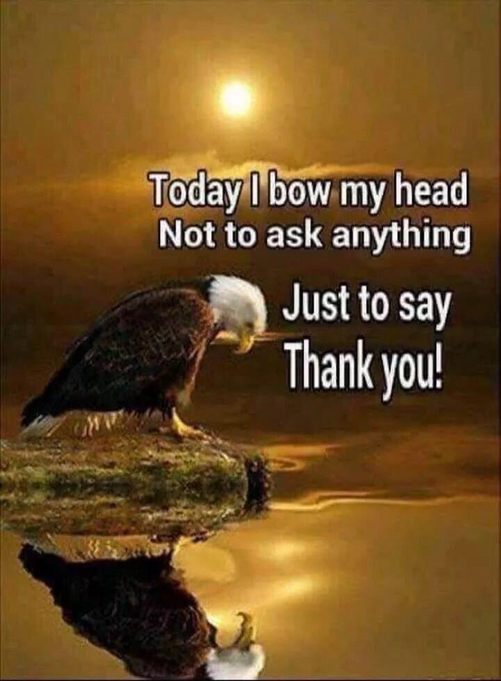 Today I bow my head Not to ask anything Just to say Thank you!