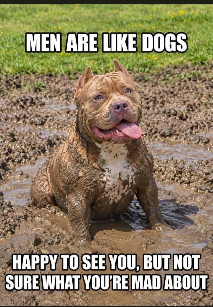 MEN ARE LIKE DOGS HAPPY TO SEE YOU, BUT NOT SURE WHAT YOU'RE MAD ABOUT