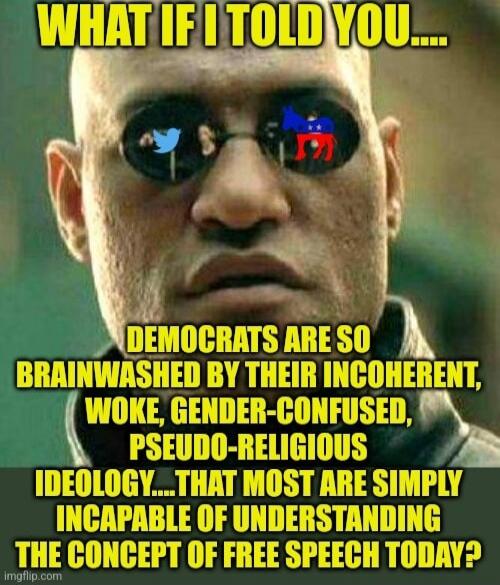 WHAT IF I TOLD YOU.... DEMOCRATS ARE SO BRAINWASHED BY THEIR INCOHERENT, WOKE, GENDER-CONFUSED, PSEUDO-RELIGIOUS IDEOLOGY....THAT MOST ARE SIMPLY INCAPABLE OF UNDERSTANDING THE CONCEPT OF FREE SPEECH TODAY?