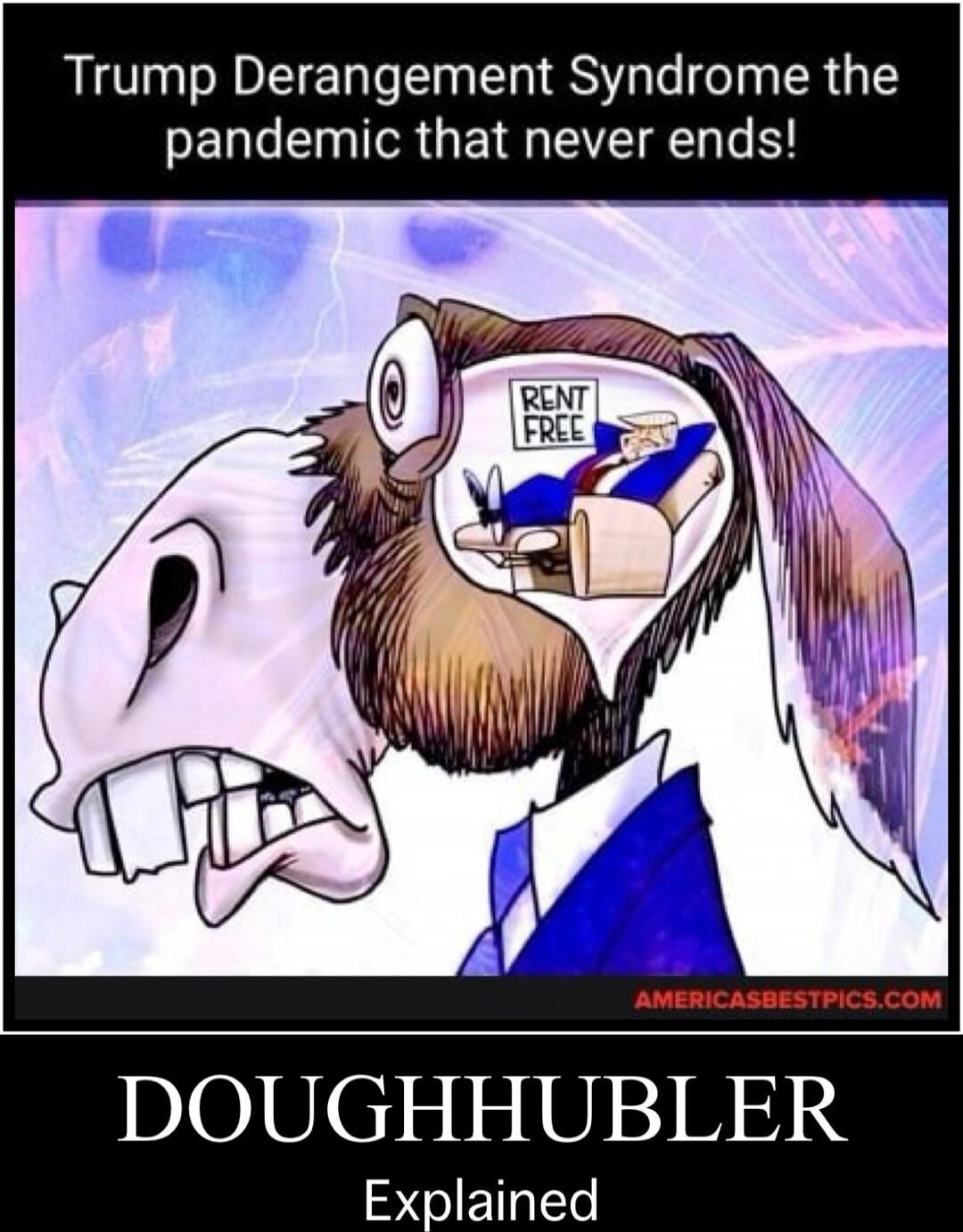 Trump Derangement Syndrome the pandemic that never ends! DOUGHHUBLER Explained