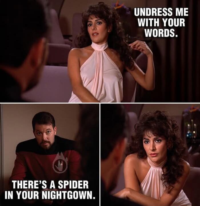 UNDRESS ME WITH YOUR WORDS. THERE'S A SPIDER IN YOUR NIGHTGOWN.