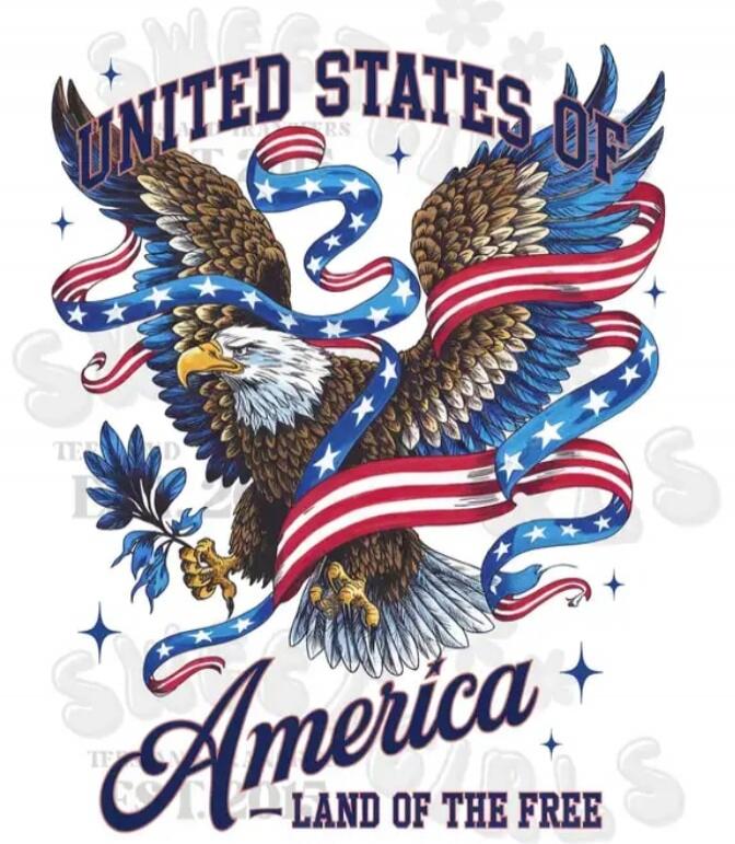 UNITED STATES OF AMERICA - LAND OF THE FREE