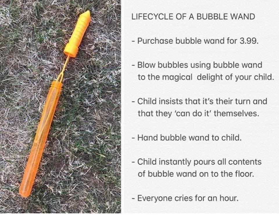 LIFECYCLE OF A BUBBLE WAND Purchase bubble wand for 399 Blow bubbles using bubble wand to the magical delight of your child Child insists that its their turn and that they can do it themselves Hand bubble wand to chid Child instantly pours all contents of bubble wand on to the fioor Everyone cries for an hour