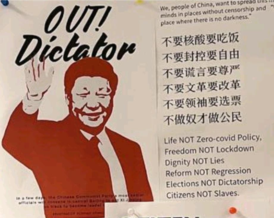 Zero covid Policy T Lockdown OT Dictatorship T Slaves