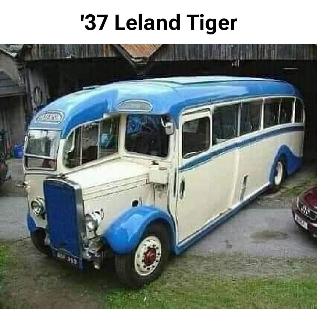 '37' Leland Tiger