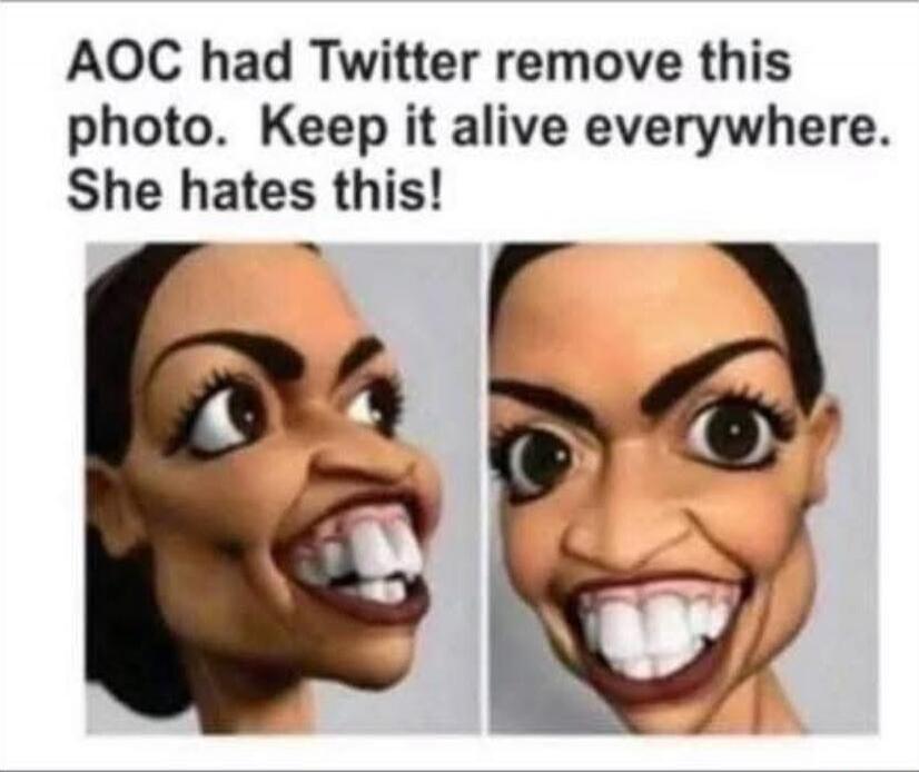 AOC had Twitter remove this photo. Keep it alive everywhere. She hates this!
