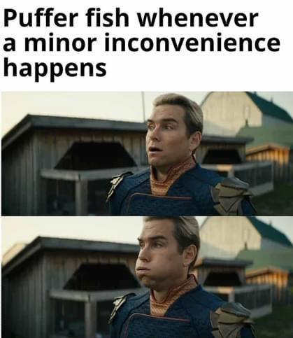 Puffer fish whenever a minor inconvenience happens