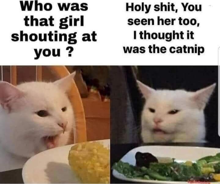 Holy shit You that girl seen her too shouting at Ithought it you was the catnip