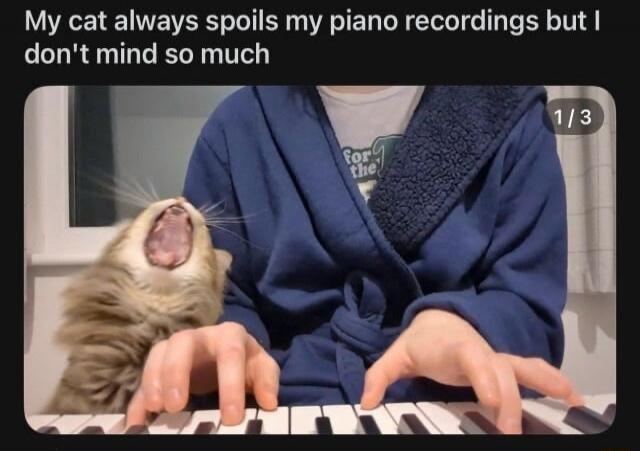 My cat always spoils my piano recordings but I don't mind so much