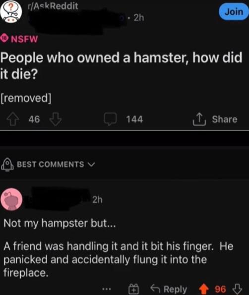 GLELLT LT 2 oin O NSFW People who owned a hamster how did it die EEES a6 144 T share BEST COMMENTS v o Not my hampster but A friend was handling it and it bit his finger He panicked and accidentally flung it into the fireplace GRS L T X R