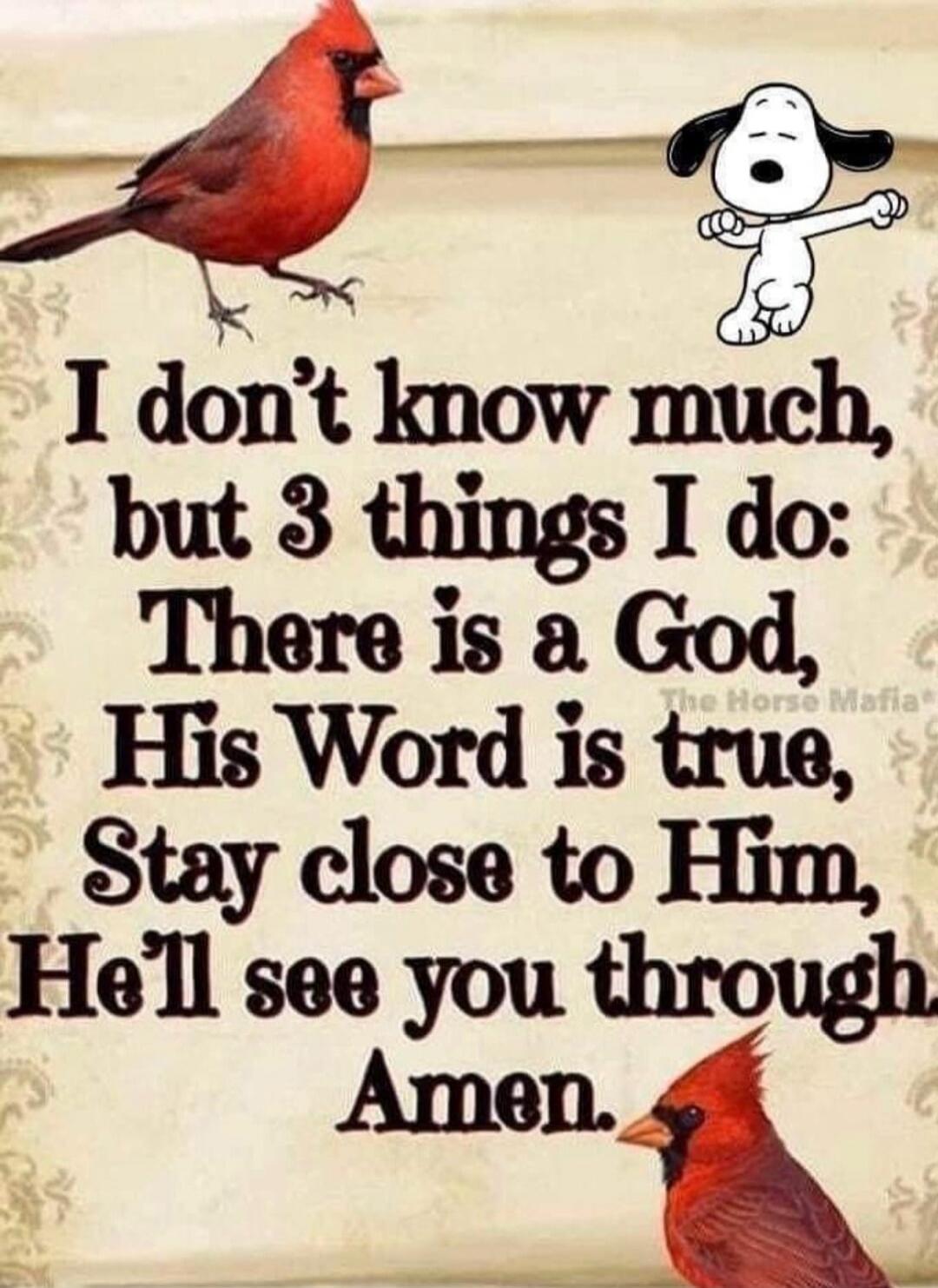 I don't know much, but 3 things I do: There is a God, His Word is true, Stay close to Him, He'll see you through. Amen. The Horse Mafia.