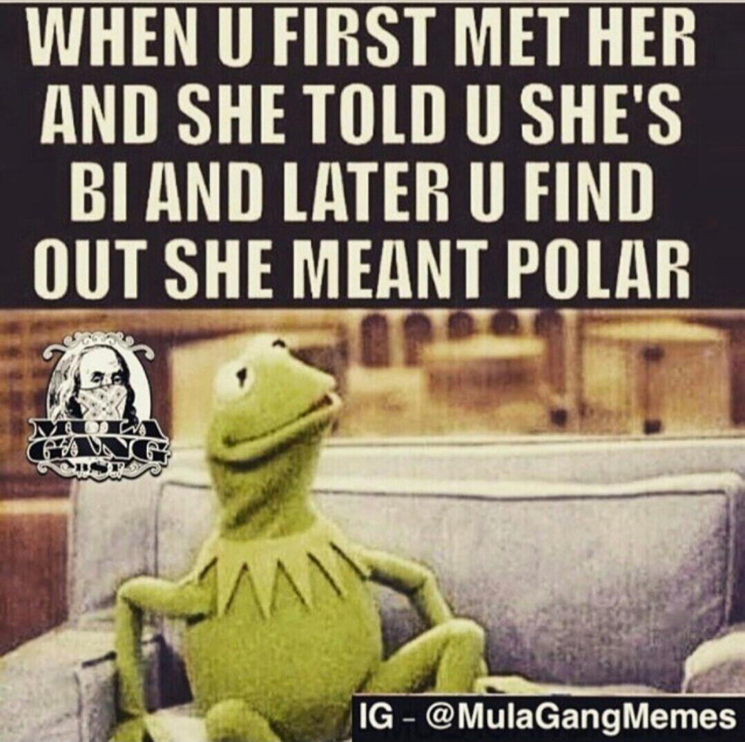 WHEN U FIRST MET HER AND SHE TOLD U SHE'S BI AND LATER U FIND OUT SHE MEANT POLAR\nIG - @MulaGangMemes