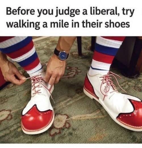Before you judge a liberal, try walking a mile in their shoes