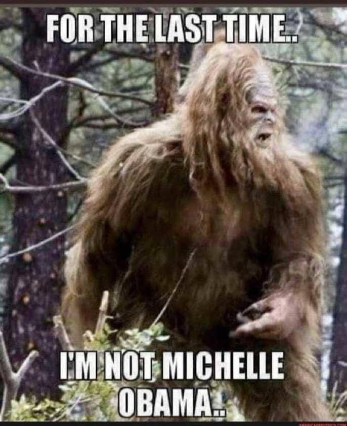 FOR THE LAST TIME.. I'M NOT MICHELLE OBAMA..