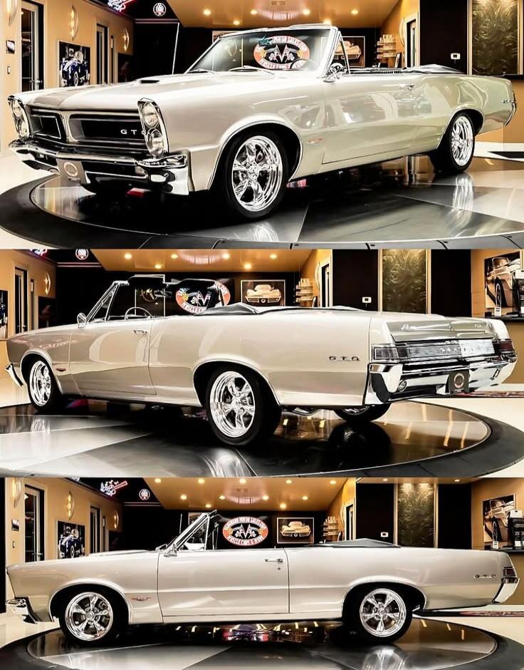 GTO GT AVA
