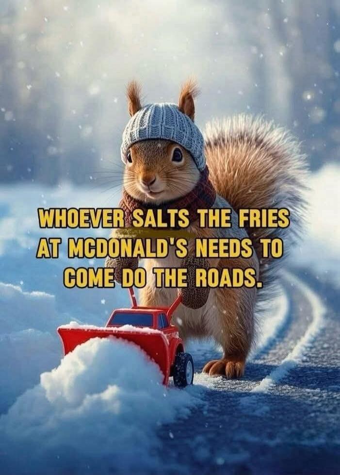 WHOEVER SALTS THE FRIES AT MCDONALD'S NEEDS TO COME DO THE ROADS.