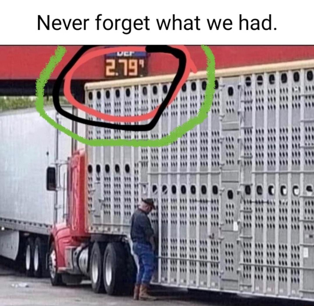 Never forget what we had T Freaal a1 W W W o I w