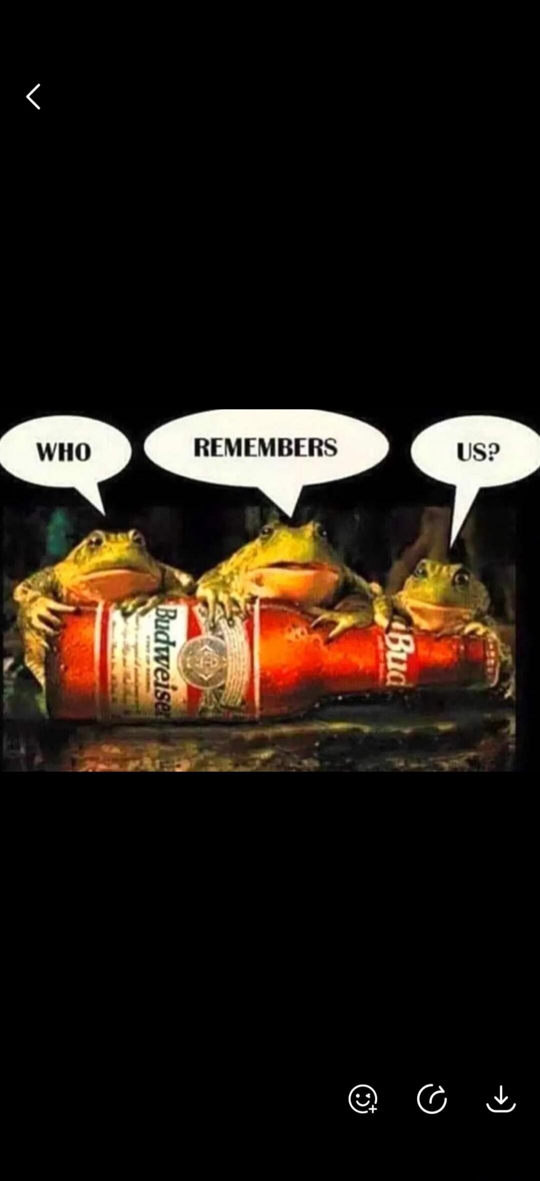 WHO REMEMBERS US? Budweiser