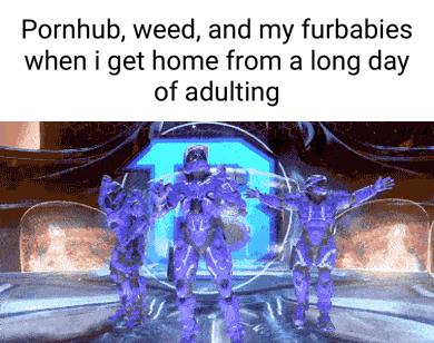 Pornhub weed and my furbabies when i get home from a long day of adulting