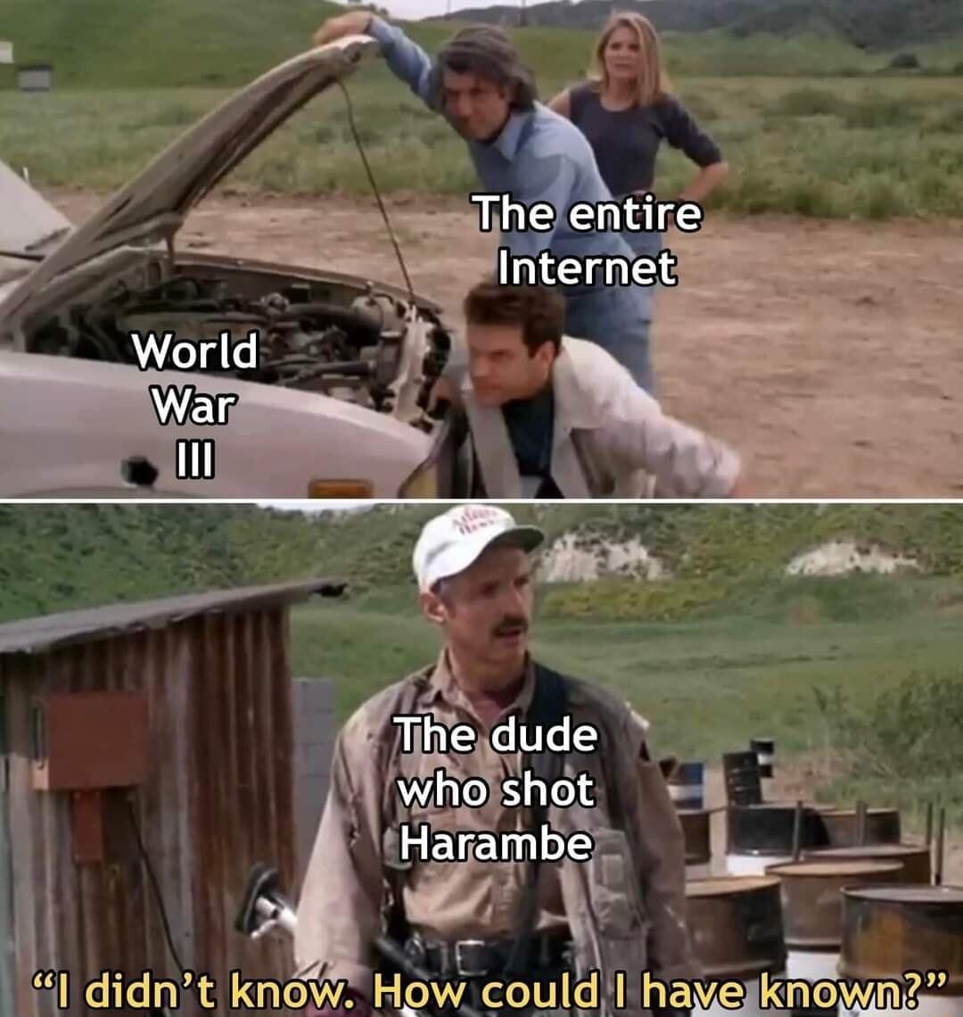 rl didnt know How could hay 3 nomf