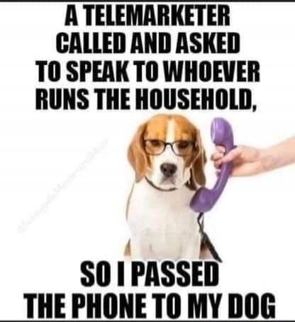 A telemarketer called and asked to speak to whoever runs the household, so I passed the phone to my dog.