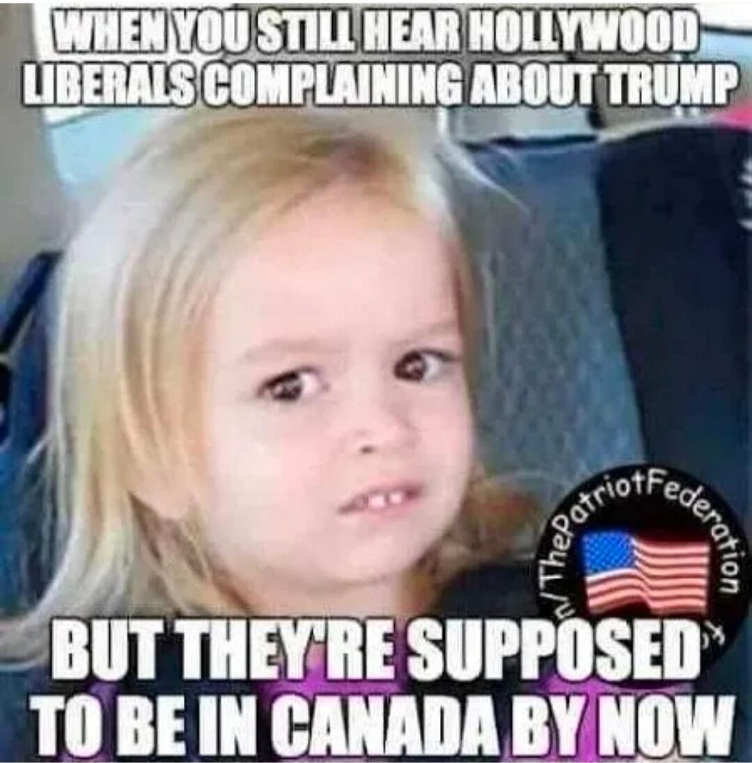 WHEN YOU STILL HEAR HOLLYWOOD LIBERALS COMPLAINING ABOUT TRUMP BUT THEY'RE SUPPOSED TO BE IN CANADA BY NOW