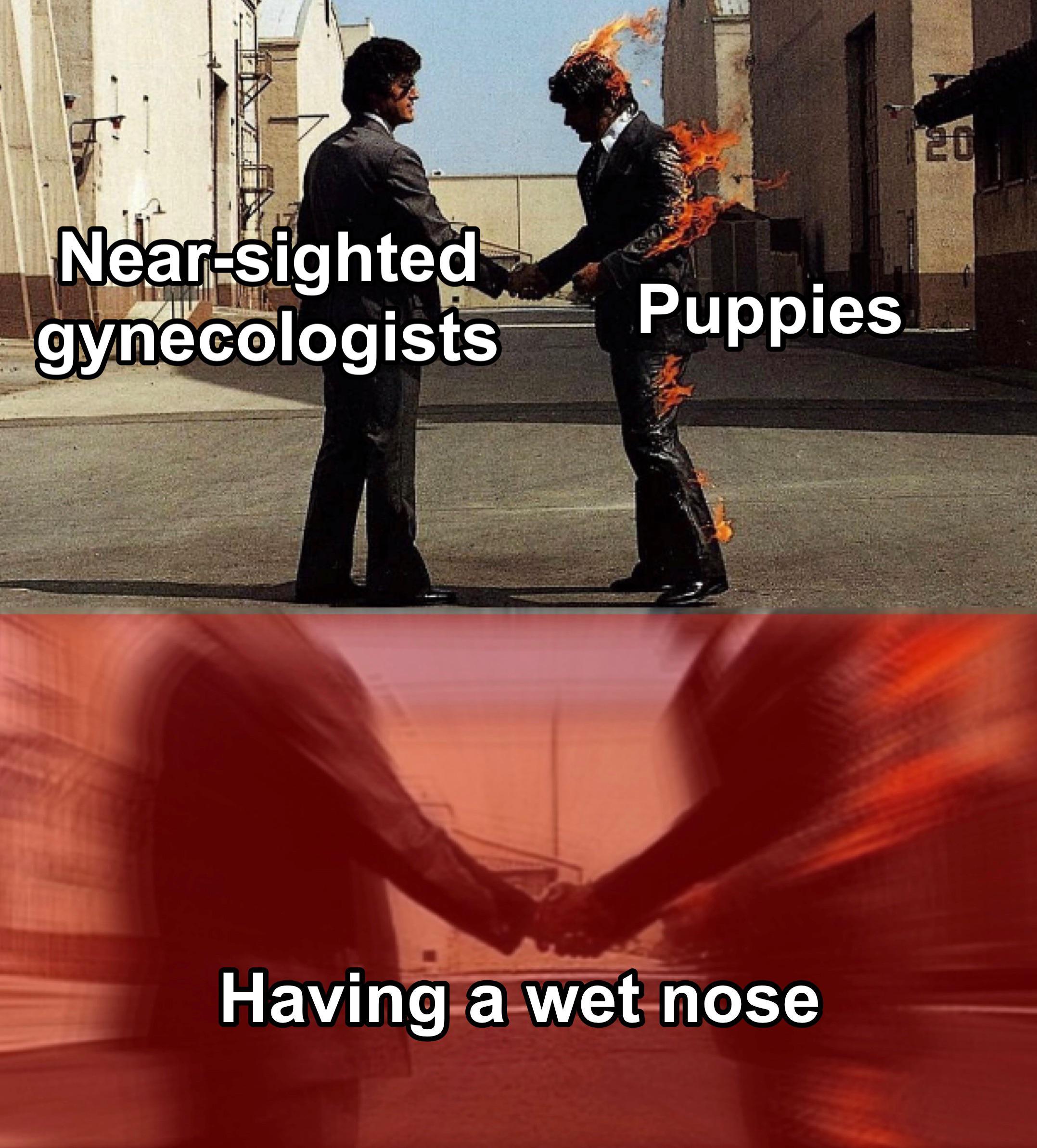 1eS_ Pupp B o8 2w s logists nose a we y Having
