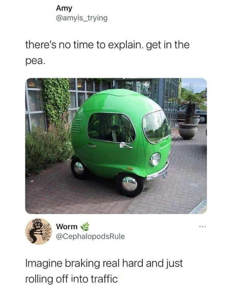 Amy amyis_trying theres no time to explain get in the pea Worm CephalopodsRule Imagine braking real hard and just rolling off into traffic