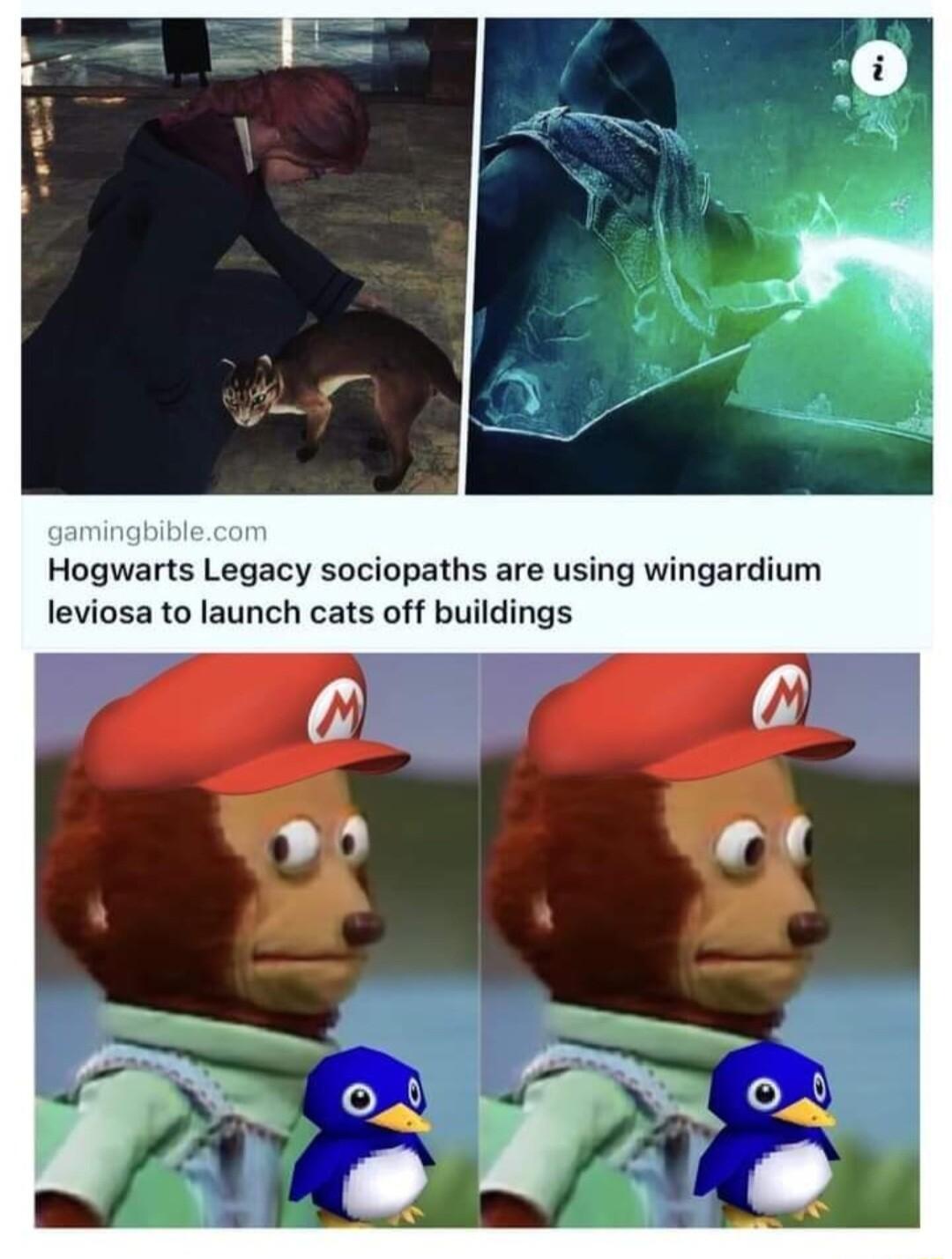 Hogwarts Legacy sociopaths are using wingardium leviosa to launch cats off buildings