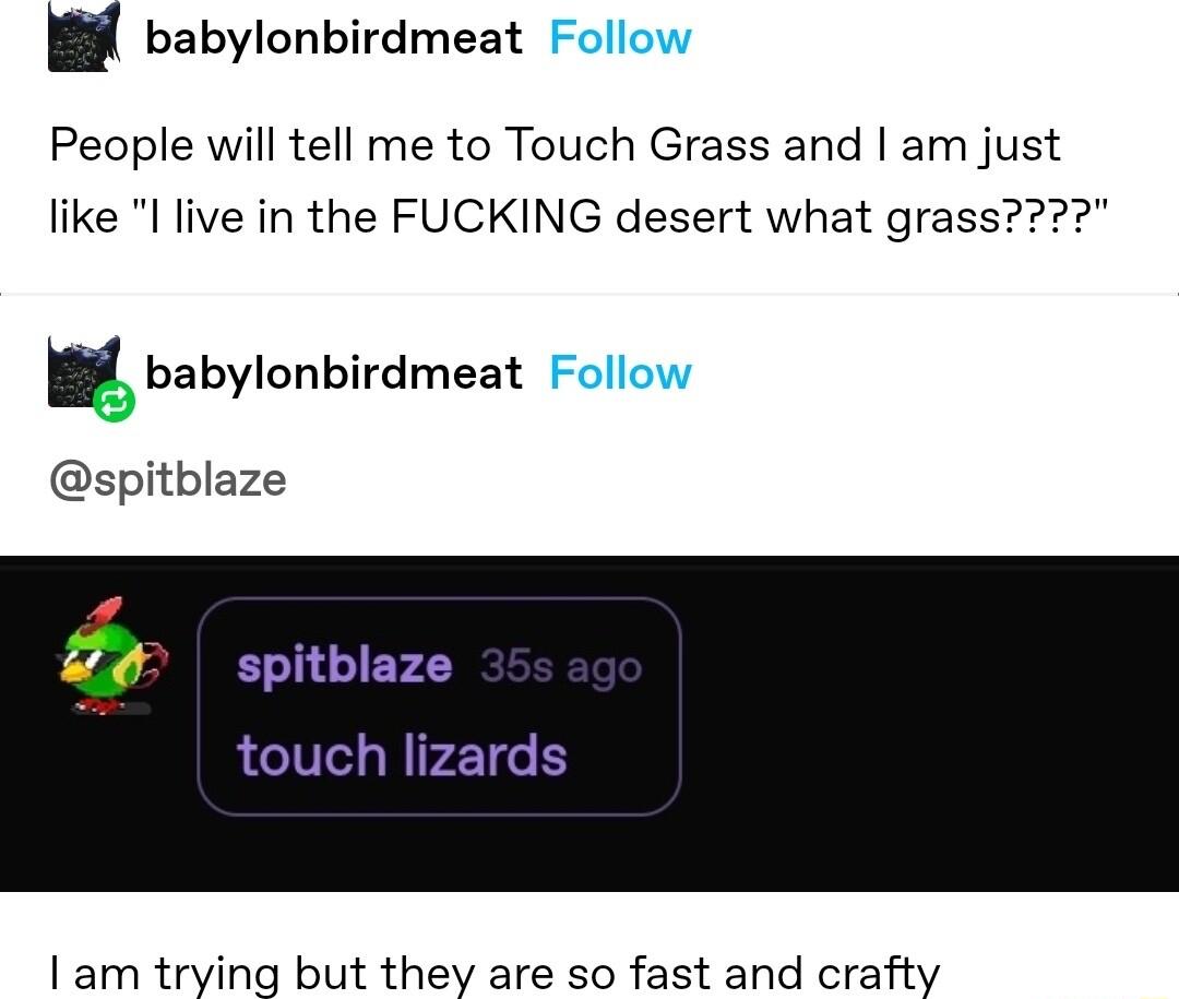 8 babylonbirdmeat People will tell me to Touch Grass and am just like l live in the FUCKING desert what grass 18 babylonbirdmeat spitblaze spitblaze touch lizards Taminingbui thevaresoiastand crafiy