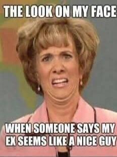 THE LOOK ON MY FACE WHEN SOMEONE SAYS MY EX SEEMS LIKE A NICE GUY
