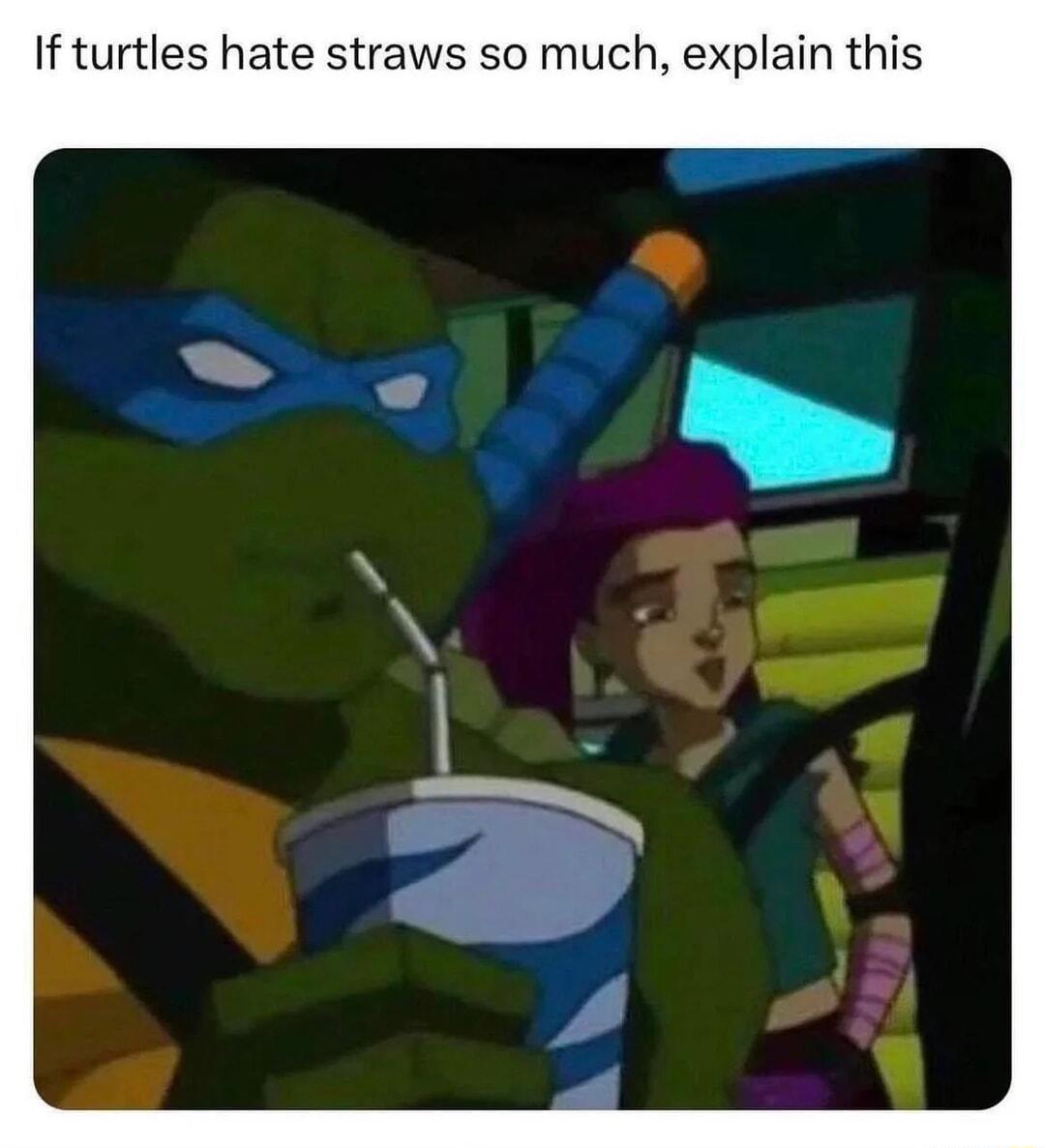 If turtles hate straws so much explain this