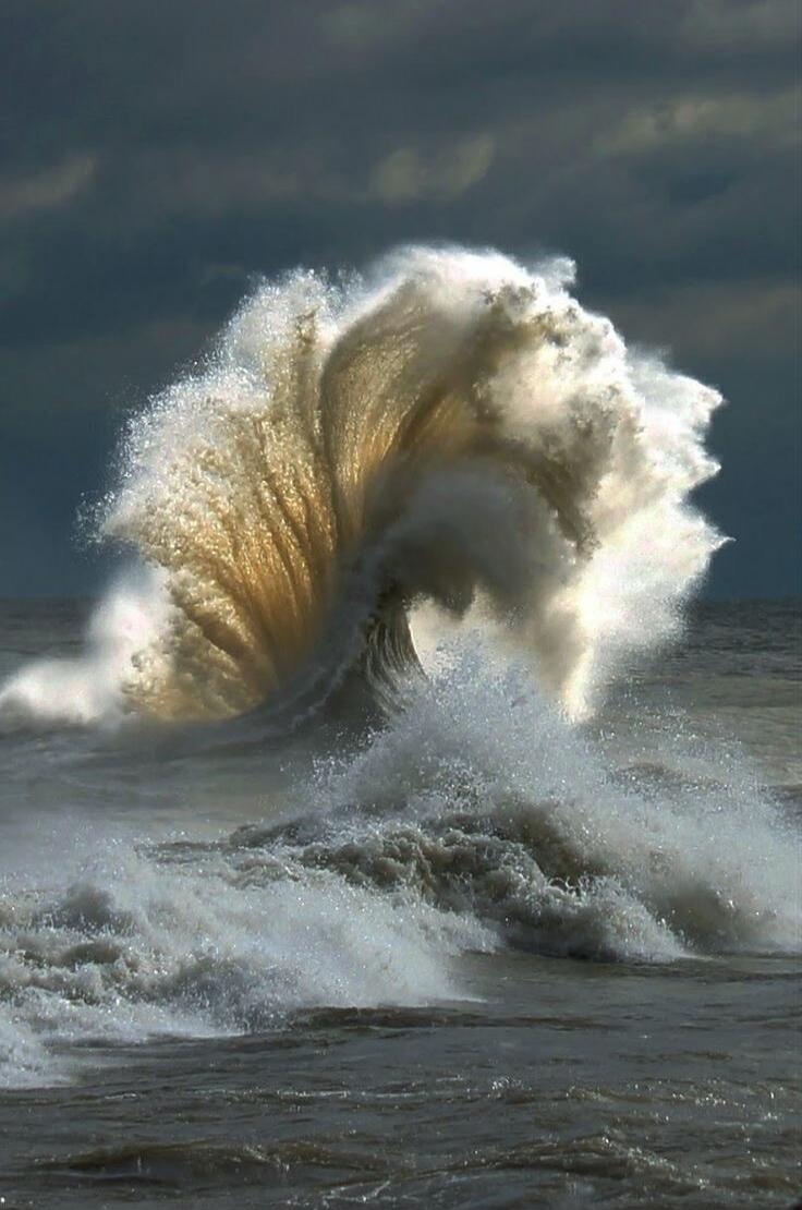 Session ID: 1084150.