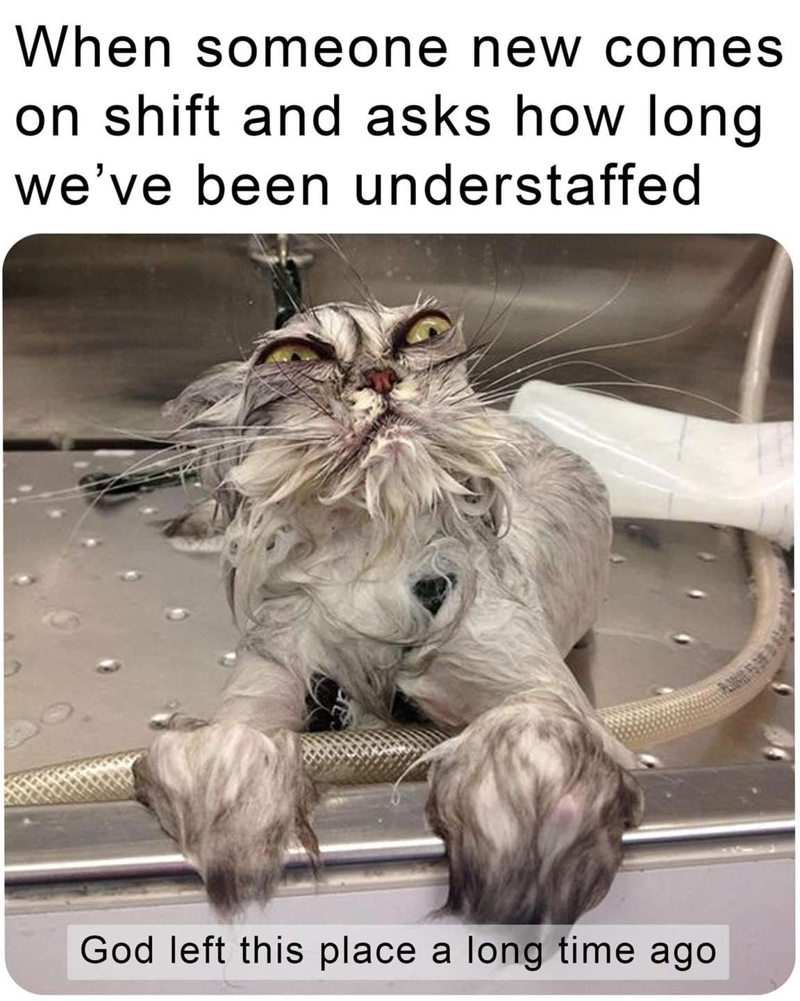 When someone new comes on shift and asks how long weve been understaffed