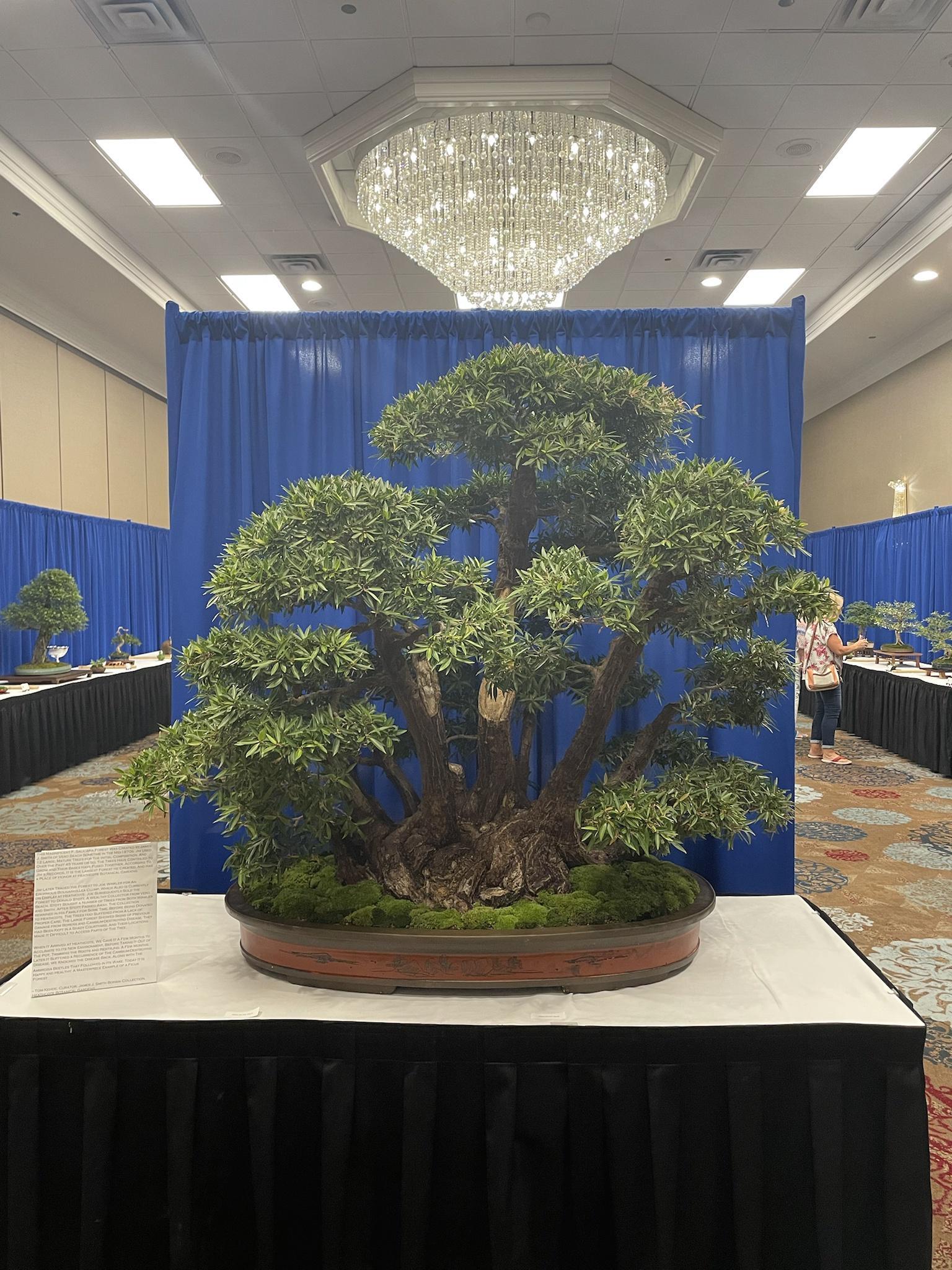 A 4L i e 7 1 X S Ay i HiEly m i 54 4 2 Fistedsi 5 i AL Shaaehisaa sl LB I 1 1 i BRI i