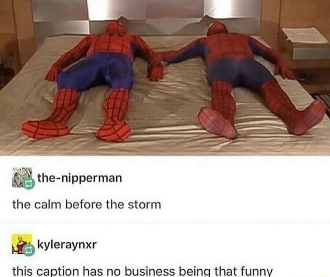 xhe nipperm the calm before the storm