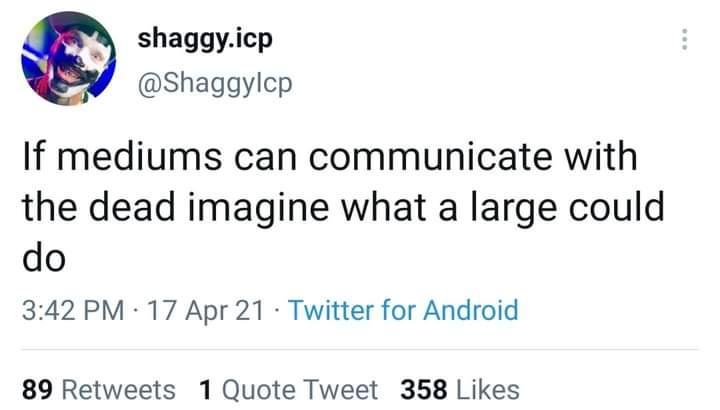 shaggyicp Shaggylcp If mediums can communicate with the dead imagine what a large could do 342 PM 17 Apr 21 Twitter for Android 89 Retweets 1 Quote Tweet 358 Likes