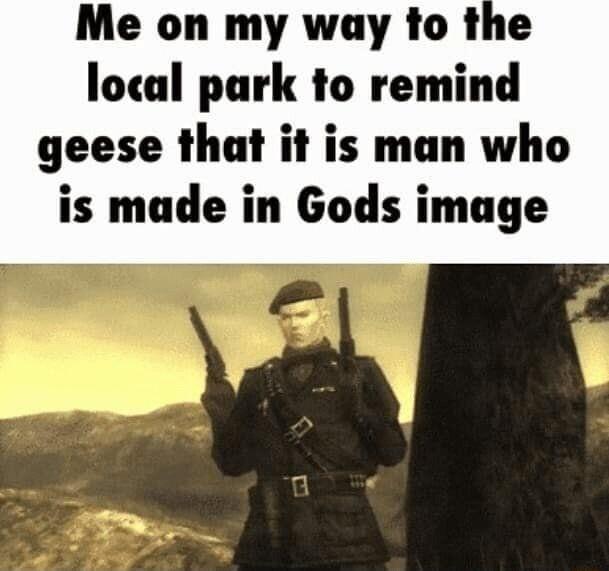Me on my way to the local park to remind geese that it is man who is made in Gods image