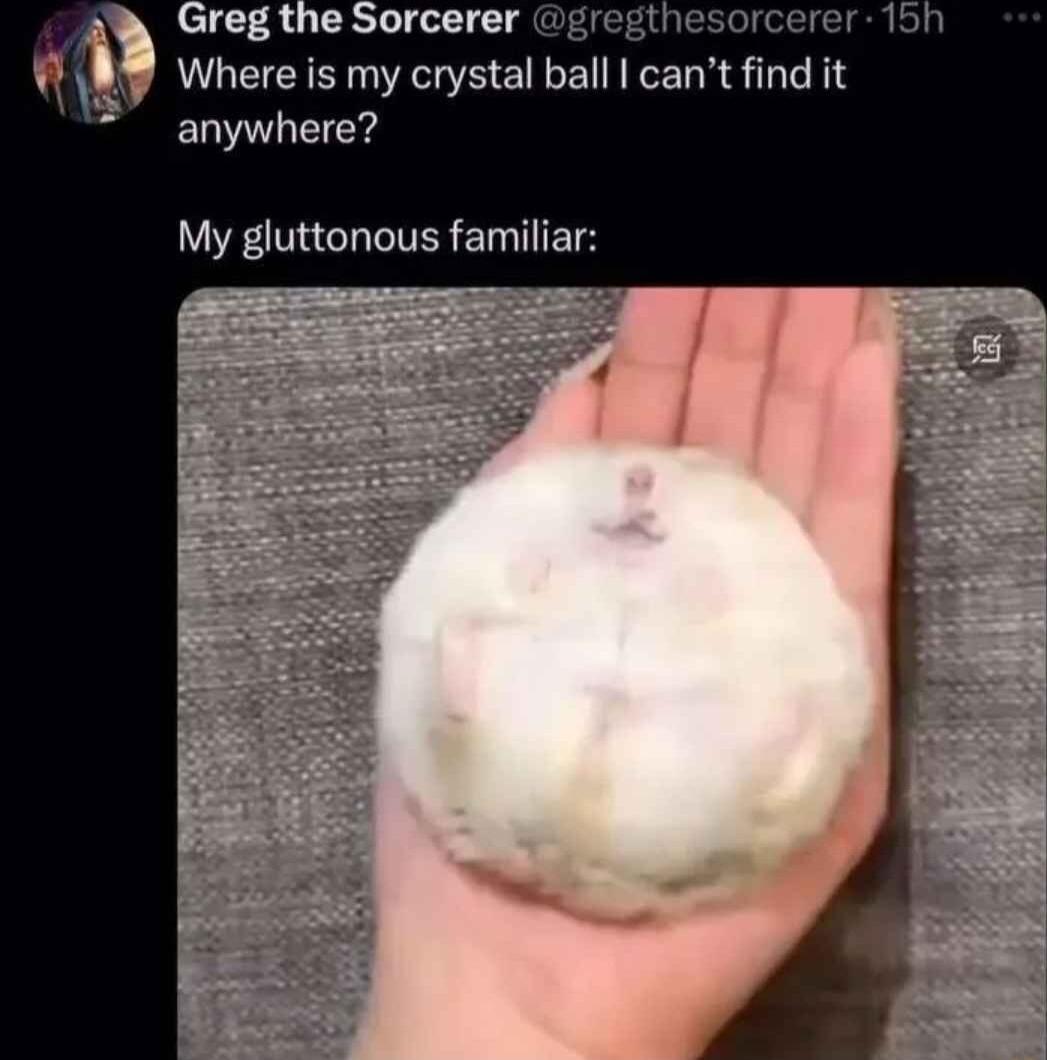 reg the Sorcerer gregthesorcerer 15h Where is my crystal ball cant find it EWTLEICY LEETC IR ETTTET