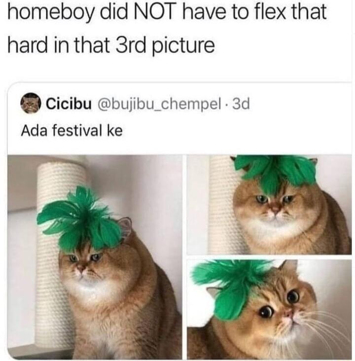 homeboy did NOT have to flex that hard in that 3rd picture Cicibu buijibu_chempel 3d Ada festival ke
