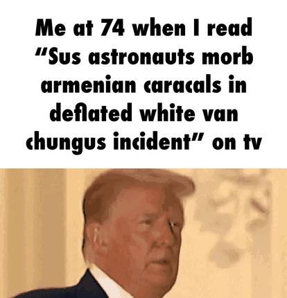 Me at 74 when read Sys astronauvts morb armenian caracals in deflated white van chungus incident on tv o